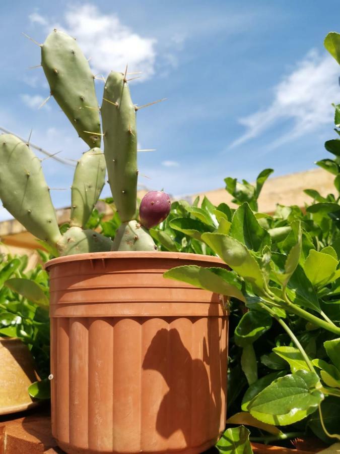 Lido di Noto B&B Scogli Bianchi المظهر الخارجي الصورة